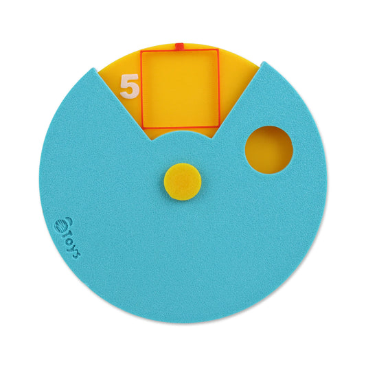 Spin & Plan 5 Spots